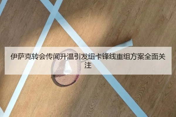 伊萨克转会传闻升温引发纽卡锋线重组方案全面关注